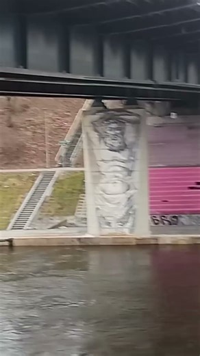 Вильнюсские бобры напакостили!Vilnius,Goštauto str. Dec.7.🙀🦚🦡