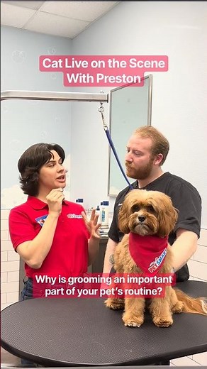 Pet Stylist Preston shares why grooming is an important part of a pet’s routine 🎤✂️ #PetSmart