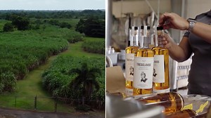 De aquí como el coquí: visitamos la única destilería de ron con caña sembrada en Puerto Rico
