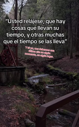 Ivan r1 (@lobor1_alpha)’s videos with sonido original - 🎧 WONDER 🎤 MUSIC 🎧