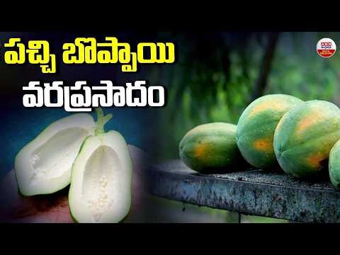 పచ్చి బొప్పాయి వెనుకే పరుగు| Eat Raw Papaya Daily and See These Amazing Health Benefits| ABN Digital