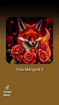 Triss Merigold #song #triss #merigold #witcher3 #pop #metal #fox #fire
