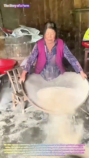 Watch a Skilled Farmer Winnow Rice Grain with a Classic Bamboo Tray! 🌾✨
