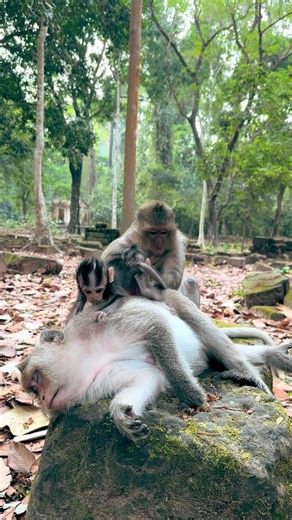 ITS hard to nap around the kids lol! ✨💫