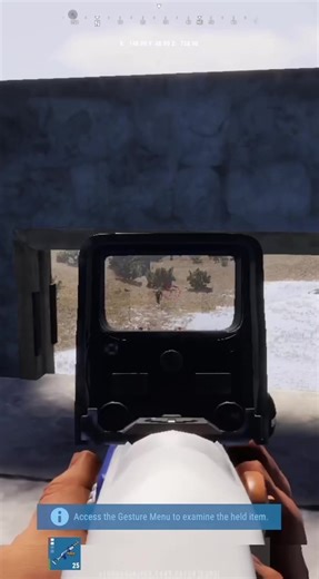 Exploring Rustic Gameplay in Rust