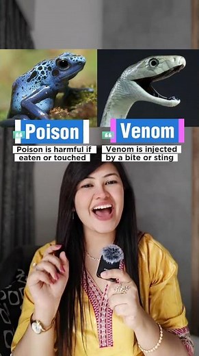 Common confusions that many people mix up #CommonConfusions #SpokenEnglish #EnglishVocabulary #Learn