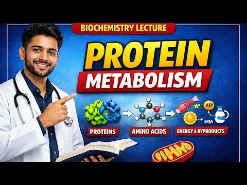 Protein Metabolism One Shot Revision 🧬 | MBBS/BDS Biochemistry