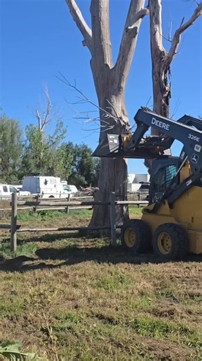 Redneck tree removal. Thanks to the Ally Remembered Foundation, Andrew Starrett and Matthew Wacker. #fyp #renovation #redneck #trees #takingmylifeback | Cherrie Mellott