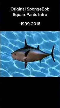 SpongeBob SquarePants Intro 1999-2011
