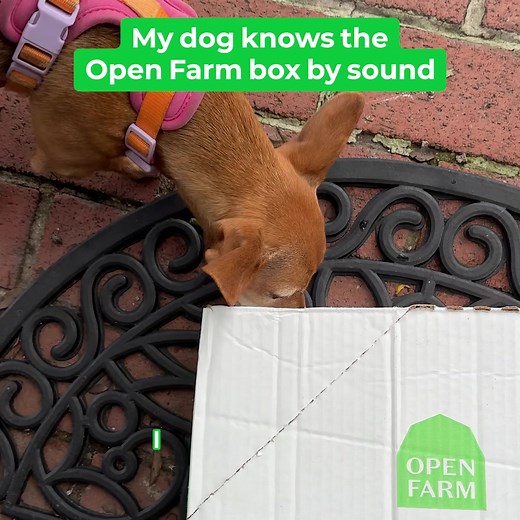 Give your pup fresh, vet-approved meals! Open Farm’s fresh food recipes are packed with ethically sourced, non-GMO ingredients. Ready to serve, flexible plans, and 30% off your first box. 🐶 | Open Farm