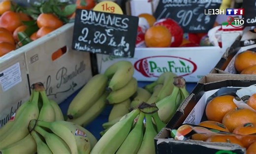 L’étonnant parcours de nos bananes