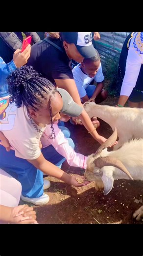 Village goats 🐐 feeding #tourism #college #viralpost2025シ #indlondlozuludancers #indlondloculturalvillage | Indlondlo Cultural Village