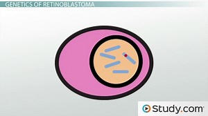 You must c C reate an account to continue watching