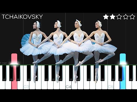 Tchaikovsky - Dance of the Little Swans | EASY Piano Tutorial