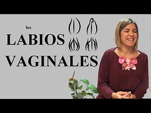 Labios vaginales ¿Cómo son?: diferente tamaño, sobresalen...¿son normlaes?