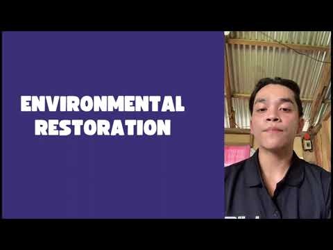 Genetic Engineering and It's Applications in Forestry