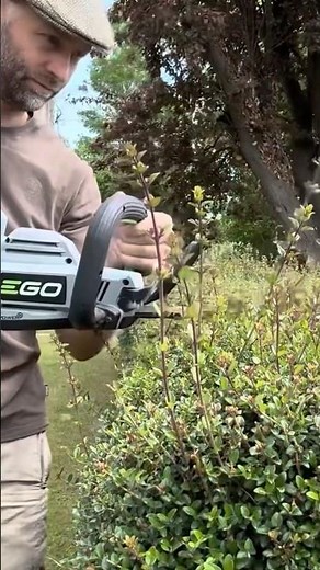 EGO Hedge trimmer 2600e trimming a box hedge.