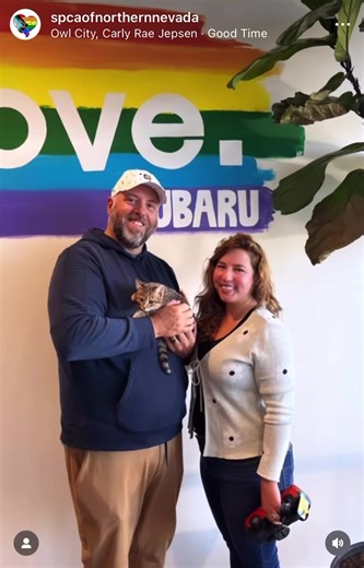 It’s BACK 🎉 We know you’ve been waiting for the first Lithia Reno Subaru Fee-Waived Adoption Event of 2023...and here it is! Come meet adoptable dogs and cats on Saturday, June 17th at the Lithia Reno Subaru dealership located at 2270 Kietzke Lane for this special FEE-WAIVED adoption event 🐶🐱🚗💜 A huge THANK YOU to our partners at Lithia Reno Subaru for their ongoing support of our lifesaving mission, and for sponsoring the event’s adoption fees! Stay tuned on FRIDAY for which pets will be a