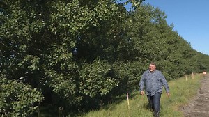 Valley Ridge owners concerned over Calgary ring road tree removal