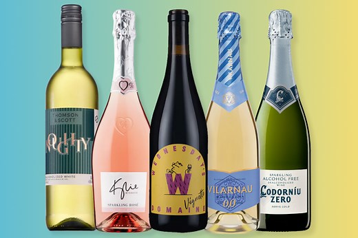 Best non-alcoholic wines for 2026, taste-tested by a wine critic