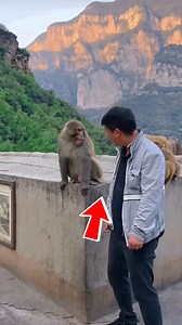 Mind-Blowing Animal Facts #FactReels #AmazingFacts #MindBlowingFacts | Amazing World हिन्दी