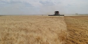 The five Ws of combine prep