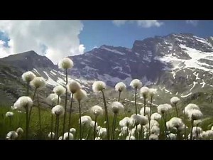 Parco Nazionale Gran Paradiso Gran Paradiso National Park