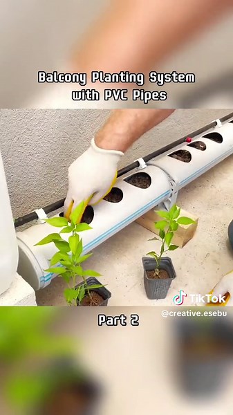 Part 2 | Planting System with PVC Pipes#creative #diy #lifehacks #xyzbca #creationclips #fyp #fypシ