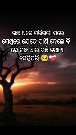 ବିଶ୍ୱାସ ଥରେ ଭାଙ୍ଗି ଗଲେ 😔❤️‍🩹👀 /Sad Odia Shayari /Sad Odia Song / #dukha #sad #love #quotes #sadsong