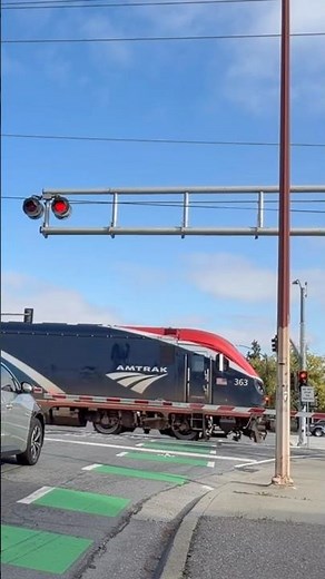 AMTK 363 leads Amtrak 11 through Braham Lane crossing in South San Jose #shorts