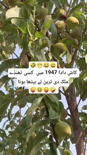 funny urdu poetry jokes 😃 ||#foryou #funny #funnyvideo #youtubeshorts #jokes #funnyreels #funnylife