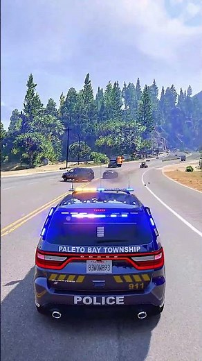 Why Do They Always Run?! - GTA 5 LSPDFR