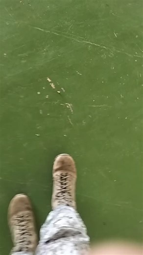 Flight Bravo (@guardianofprecioussky)’s videos with original sound - 𝓔𝓷 👤