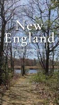 New England | POV Hike | 4K Nature Reset | 90s ASMR | Dighton | MA #shorts