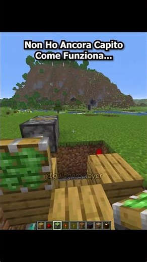 Non ho Ancora Capito Come Funziona... #minecraft #shorts