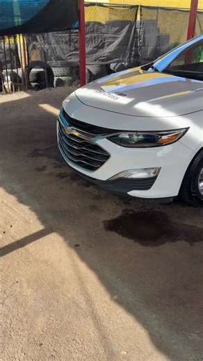 American Red Cross Got it the Monkey Shine way 🙈✨ | Monkey Shine