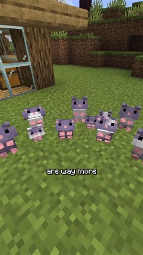 These Hamsters Won Mod of the Year… Here’s Why 🐹🏆