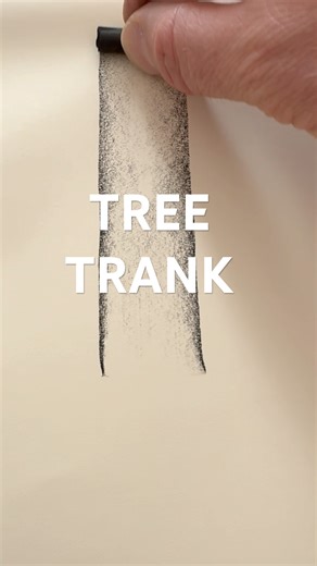 How to draw a tree trunk