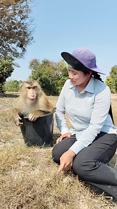 10K views · 75 reactions | Best Video Of Monkey SokYaa, To To And Family Are Amazing #Reels #reelsfypシ #Dog #reelschallenge #sokyya #ImageSEOTrends #FunnySokYaa #IQ #viral #MeganFox #kyliejenner #trending #viral #reels #game #sports #quiz #quizinstagram | Monkey Anita | Facebook