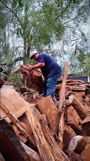 Dropping A Heavy Mesquite Wood Log! Down To The Floor!! #mesquite #wood #woodworking #woodwork #fyp