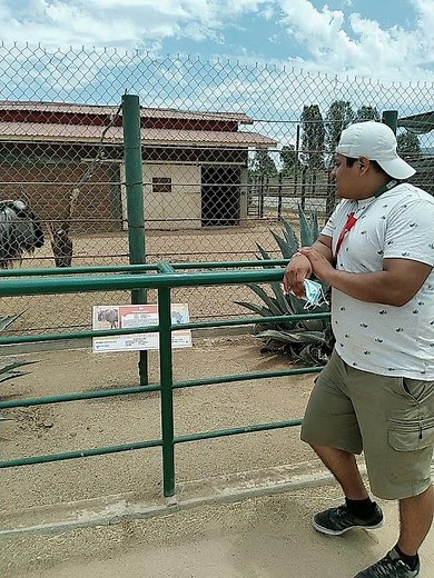 Platicando con un Ñu