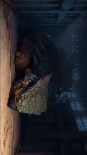 Cuentas recomendadas