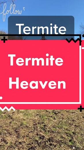 Tyler Bouldin: The Forge House on TikTok