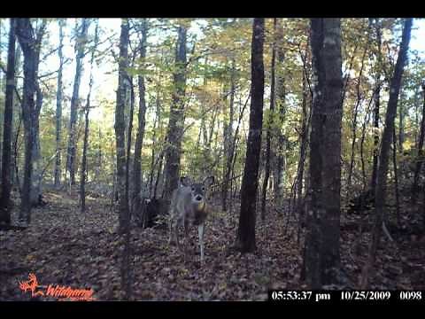 Wildgame Innovations s1.3 Game Camera