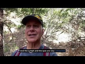 Rebounding for Eye Health