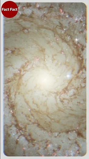 Space Fact - 11 - Fact In Hindi - Fact Fact