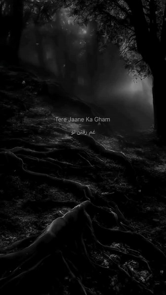 Heartbreaking Hindi Song | Emotional Indian Music Videos