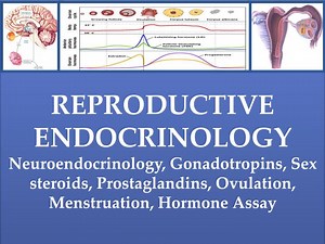 REPRODUCTIVE ENDOCRINOLOGY - SlideServe