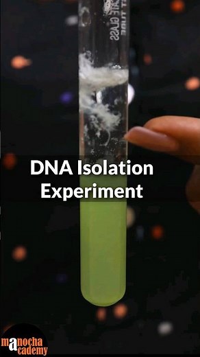 DNA Isolation Practical Class 12 #shorts