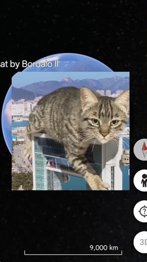 🧐🤯I found world biggest cat on Google maps🗺️#shorts #trending #maps #funny #datadefender4u